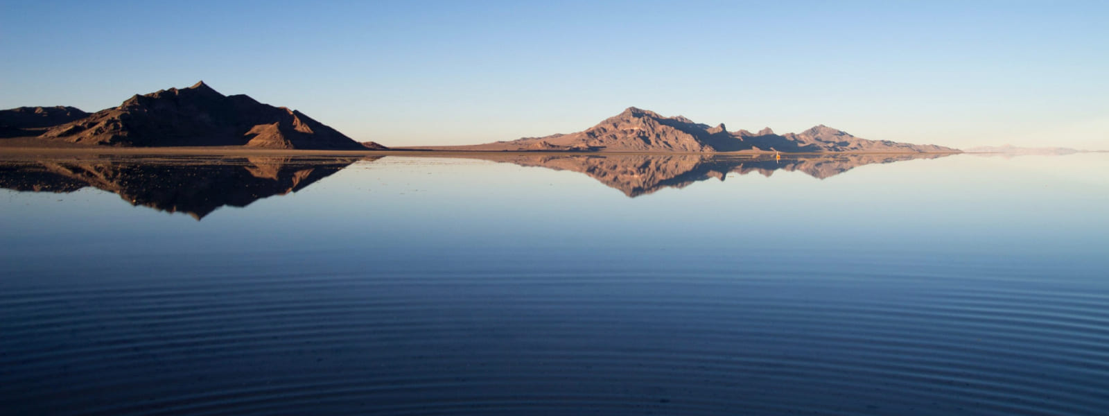 Omega in Love by Dreia Wells: Love built on foundations of care and respect #Omegaverse