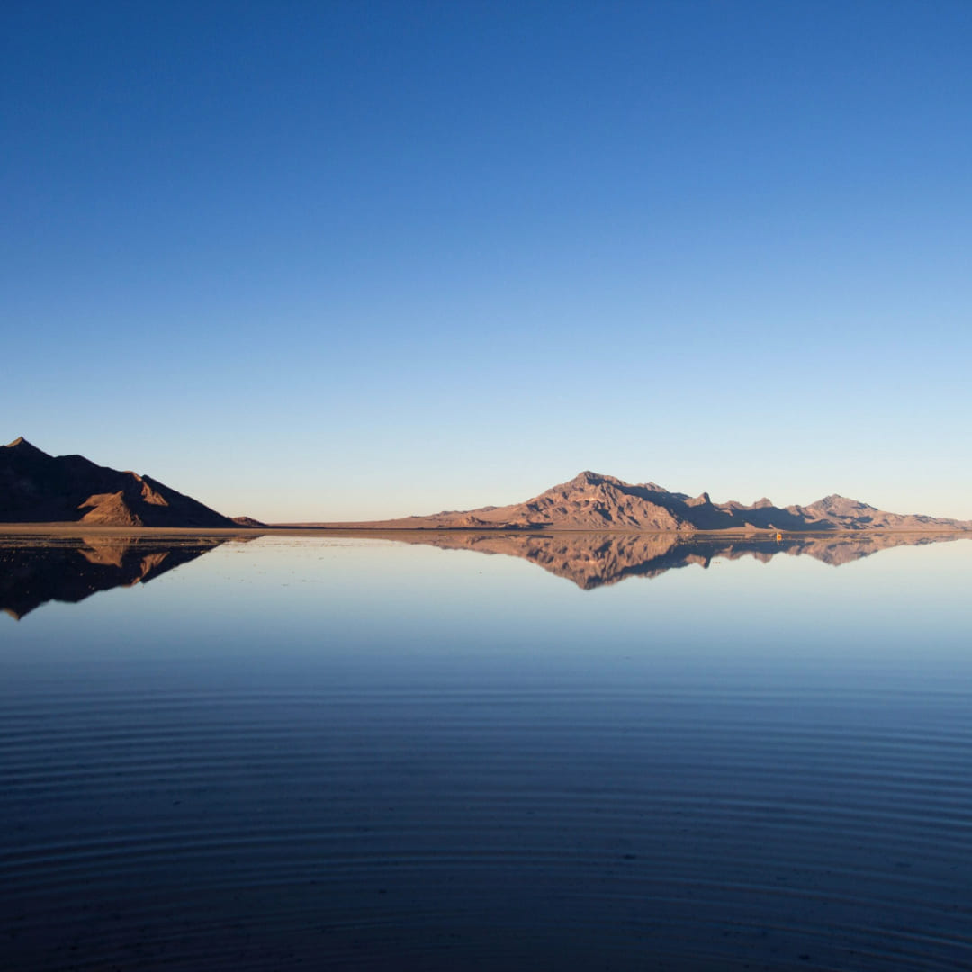 Omega in Love by Dreia Wells: Love built on foundations of care and respect #Omegaverse