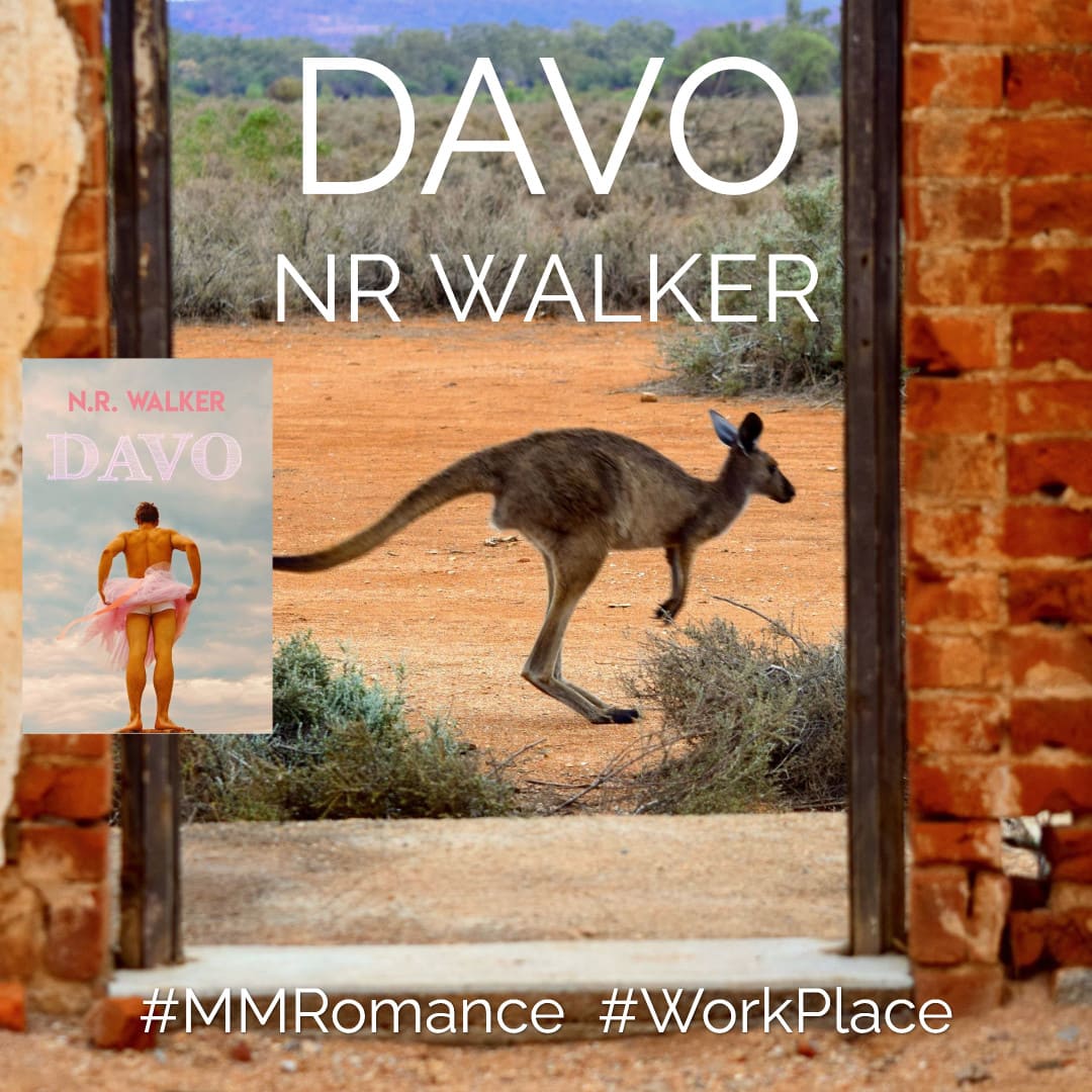 #Review: Davo by NR Walker #MMRomance #Outback