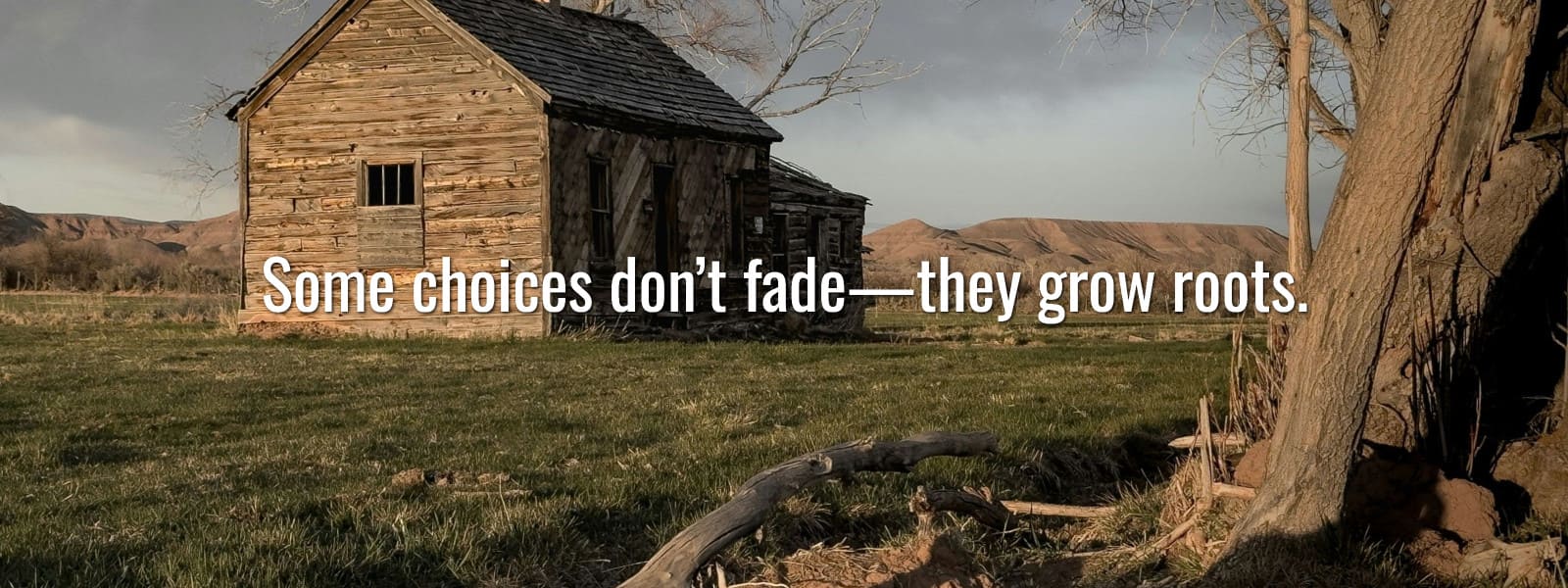 The Vine Once Twisted, a powerful origin story of regret, addiction, and redemption The Vine Once Twisted, a powerful origin story of regret, addiction, and redemption