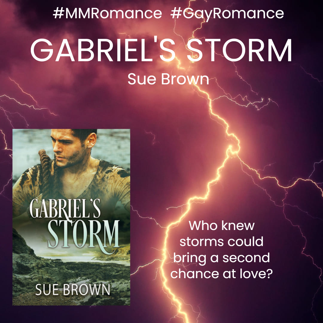 #Review: Gabriel's Storm by Sue Brown #MMRomance #Suspense