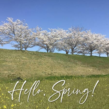 Welcome Spring Banners