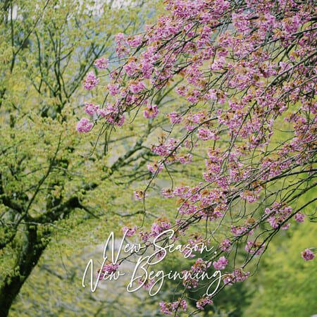 Welcome Spring Banners