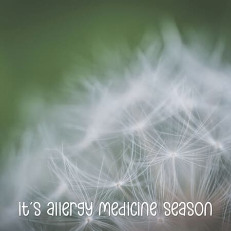 Welcome Spring Banners