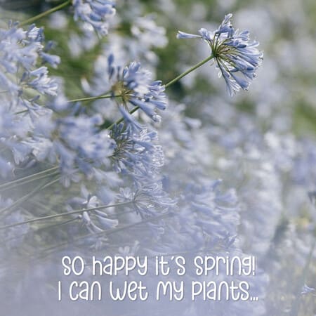 Welcome Spring Banners