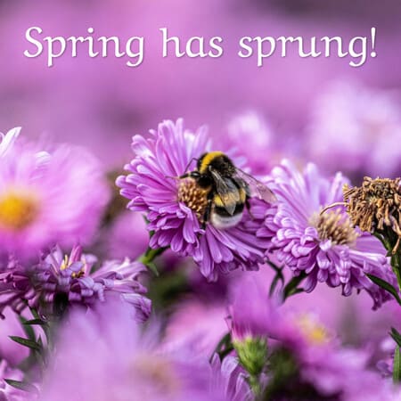 Welcome Spring Banners