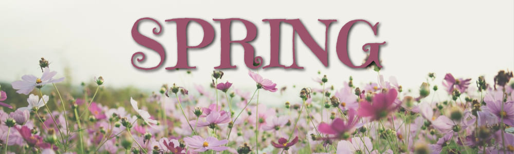 Welcome Spring Banners