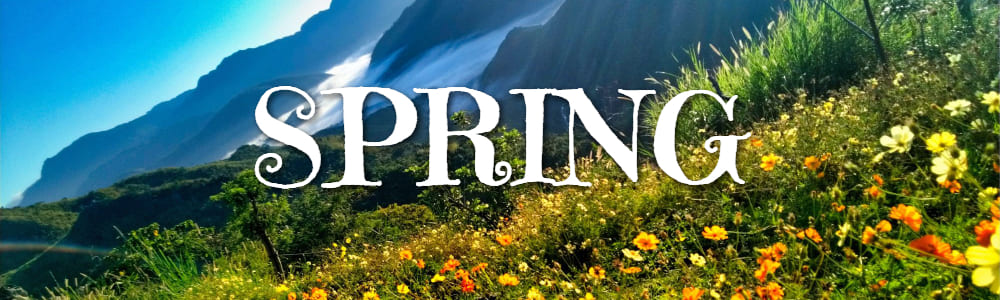 Welcome Spring Banners