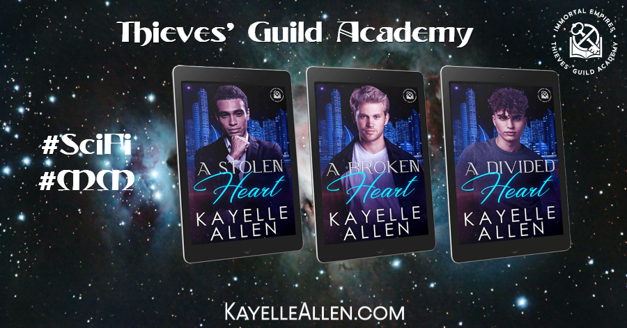 Thieves' Guild Academy series