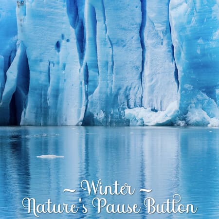 Hello Winter Banners