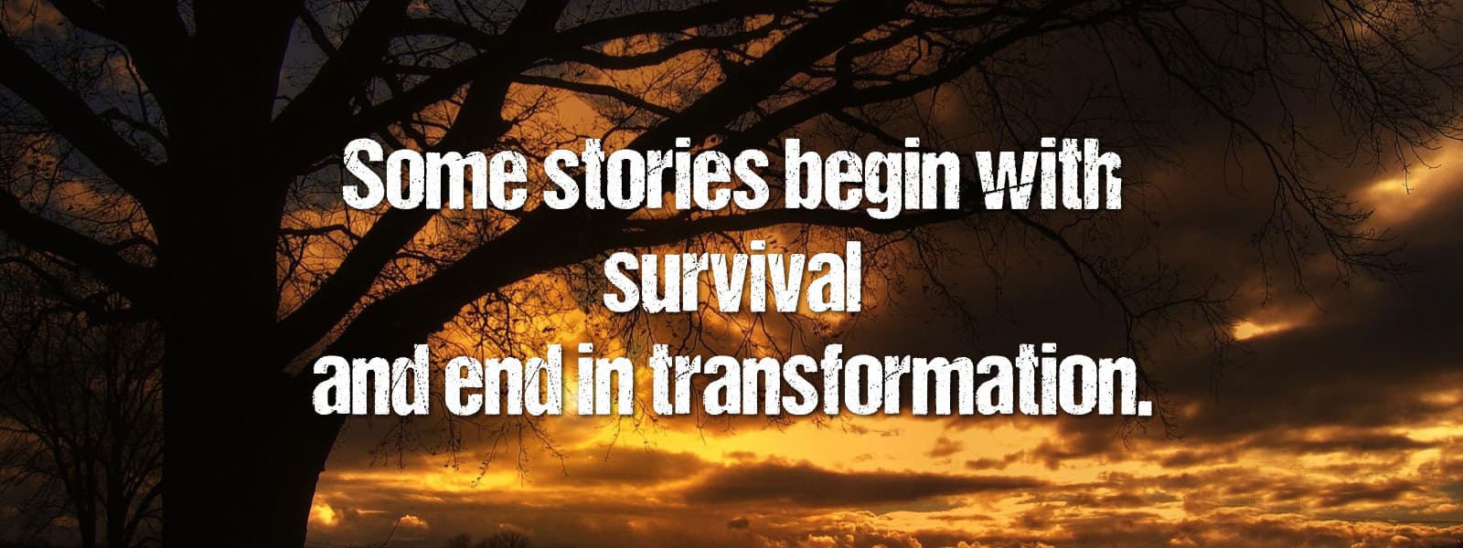 When Survival Becomes Transformation: Inside Siege by ZZ Adams #MilitarySciFi