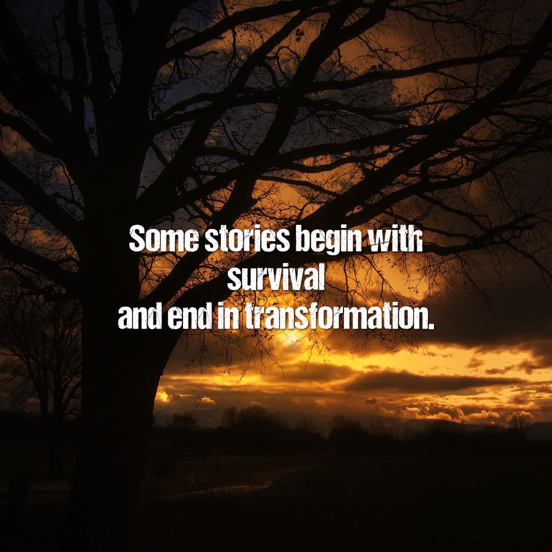When Survival Becomes Transformation: Inside Siege by ZZ Adams #MilitarySciFi
